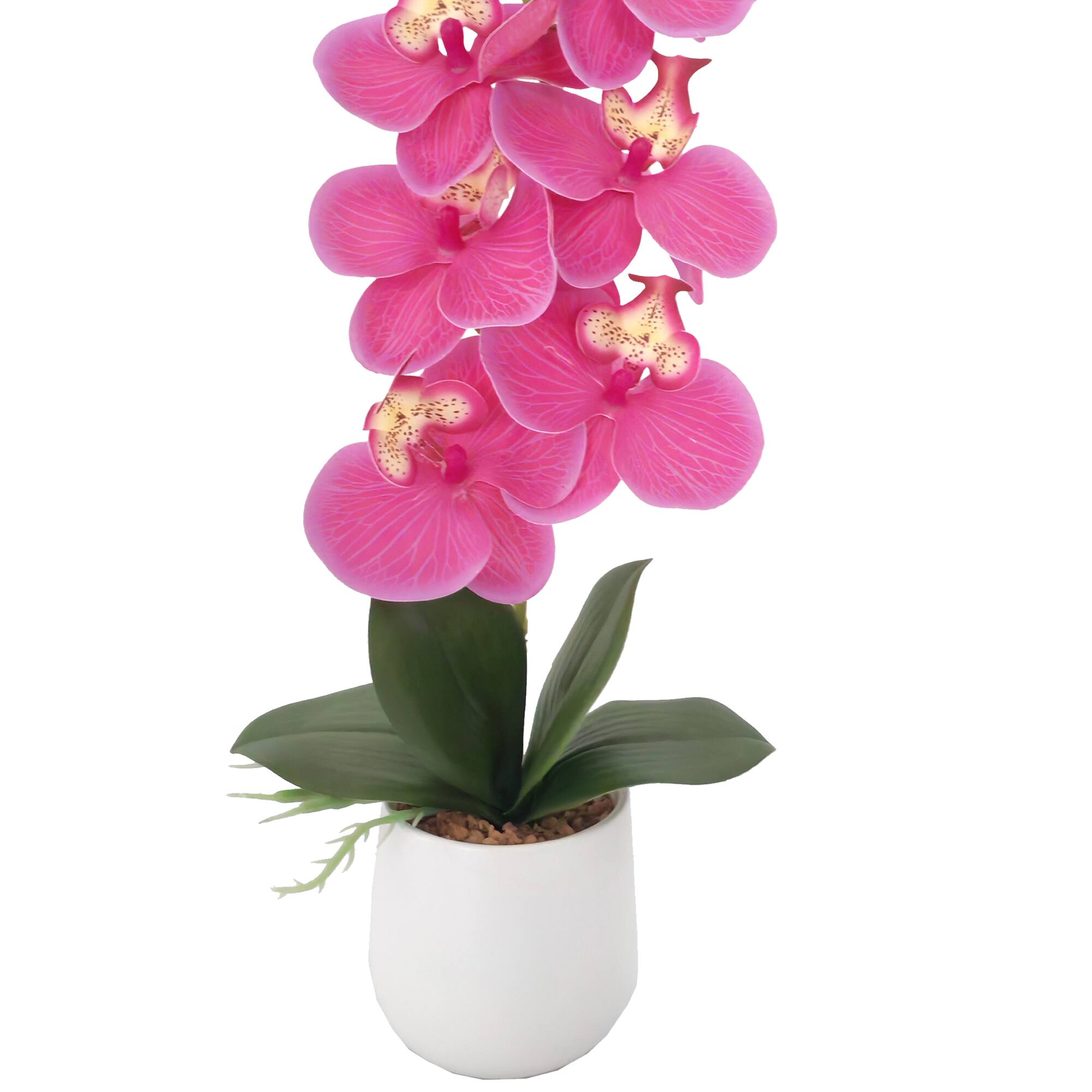 16" Pink Orchid in Ceramic Pot by Ashland®